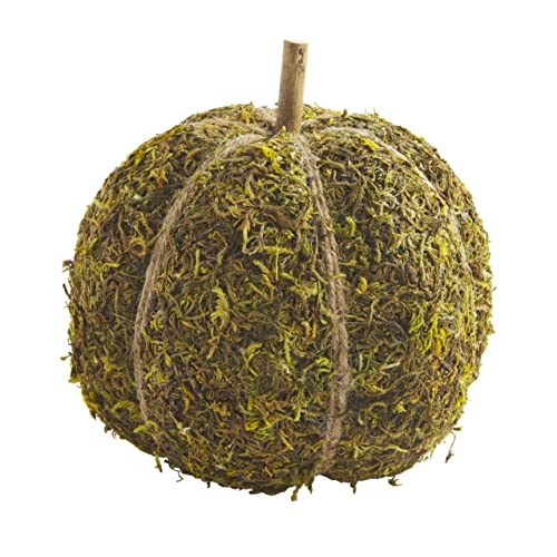 Mud Pie Preserved Moss Pumpkin, Large Table Sitters, 7-inch Diameter