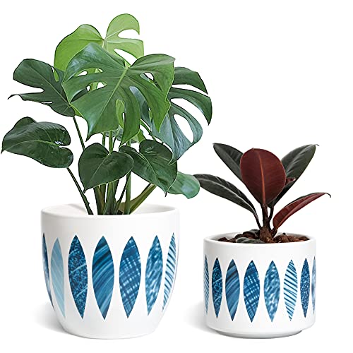 T4U 5 - 6 Inch Ceramic Planters Set of 2, Indoor White Flower Pot for Succulent Plant, Cactus, Eucalyptus, Monstera Deliciosa, Modern Leaf Pattern Container with Drainage for Home, Office Decor Gift