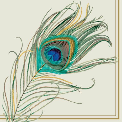 Boston International Ideal Home Range C533900 20 Count Cocktail Paper Napkins, Peacock Feather