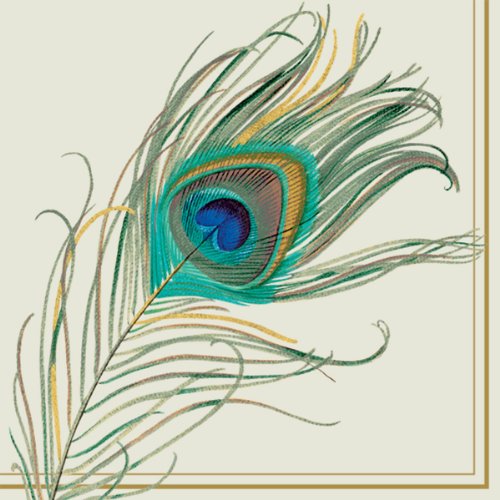 Boston International Ideal Home Range L533900 20 Count Luncheon Paper Napkins, Peacock Feather