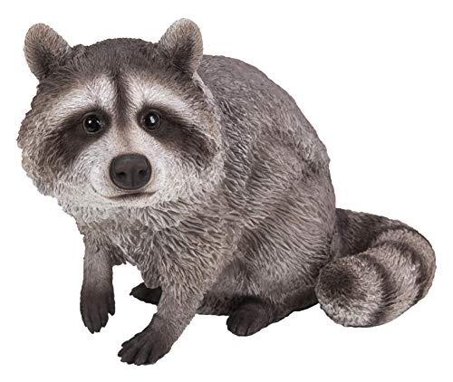 Hi Line Gift 87988-B Raccoon Sitting Statue