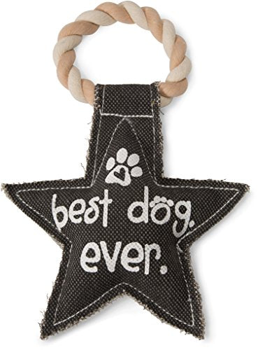 Pavilion Gift Company Gray Star "Best Dog Ever" Canvas and Rope Dog Squeaky Toy
