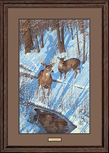 Wild Wings(MN) Shadows of Bowhunting Framed Limited Edition Print by Michael Sieve