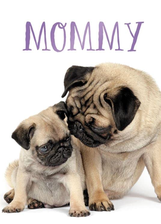 Design Design 100-80393 Mom and Baby Pugs Greeting Card