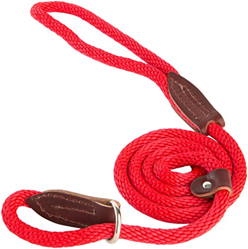 OmniPet Leather Brothers 3603-RD 4-Feet British Dog Lead, Red