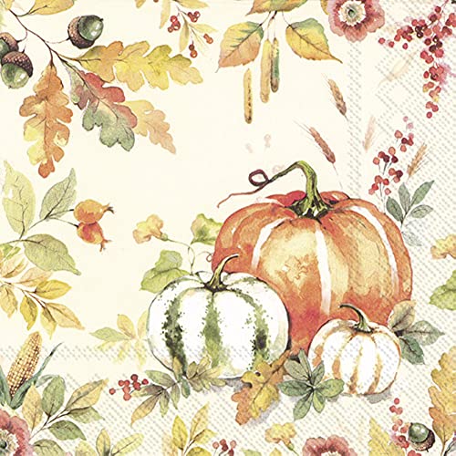 Boston International IHR 3-Ply Lunch Paper Napkins, 6.5 x 6.5-Inches, Pumpkin Love Cream