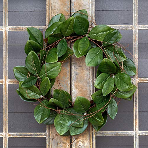 Park Hill Collection EBW01063 Magnolia Leaf and Twig Wreath, 24-inch Height