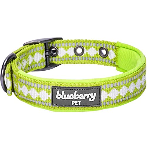 Blueberry Pet Soft & Safe 3M Reflective Jacquard Neoprene Padded Adjustable Dog Collar with Metal Buckle - Macaw Green, Neck 9-12.5", for Small Breed
