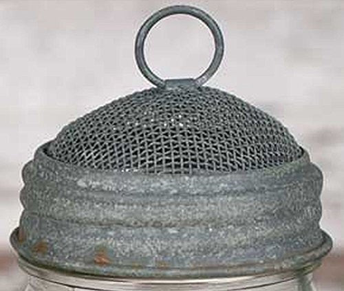 CTW Mason Jar Screen Dome Lid