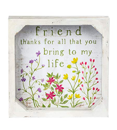 Blossom Bucket 211-39853 Friend Thanks for All That You Bring to My Life Framed Decorative Sign, 6-inch Square