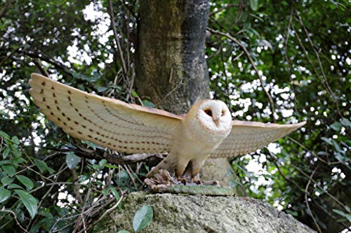 Hi Line Barn Owl Flying, 30.91-inch Width