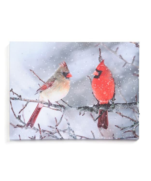 Giftcraft 683196 Christmas LED Canvas Print with Cardinals, 0.59 inch, Medium Density Fiberboard and Canvas