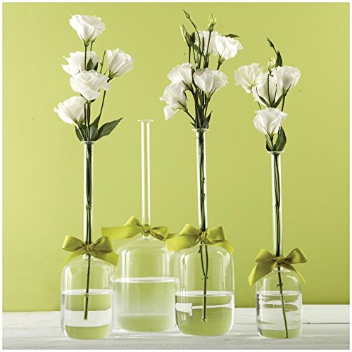 Two's Company Sleek & Chic Jug Vases Set of 4