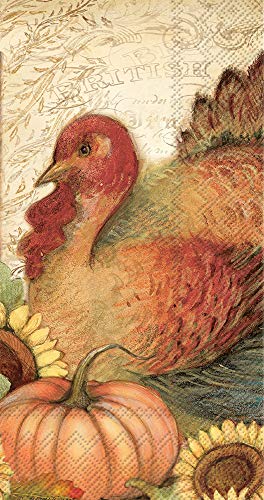 Boston International BF831900 IHR Guest Towel Buffet Paper Napkins, 8.5 x 4.5-Inches, Filigree Turkey