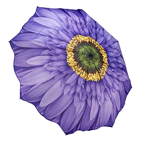 Galleria Purple Daisy Auto-Open/Close Extra Large Portable Rain Folding Umbrella