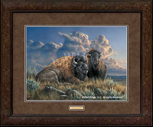 Wild Wings(MN) Distant Thunder - Bison GNA Premium+ Framed Print by Rosemary Millette