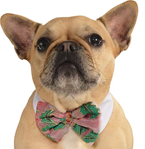 Rubies Costume Company Pet Christmas Bowtie, Poinsettia, Small/Medium