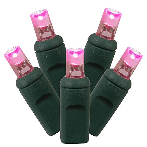 Vickerman 100 Count Single Mold Wide Angle LED Light Set with Green Wire, Pink