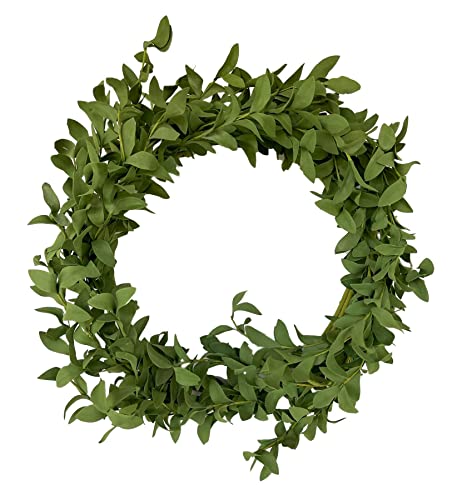 Great Finds Boxwood Wreath