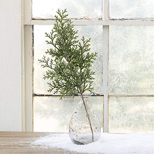 Park Hill Collection XBY10136 Frosted Cedar Artificial Plant, 25-inch Height