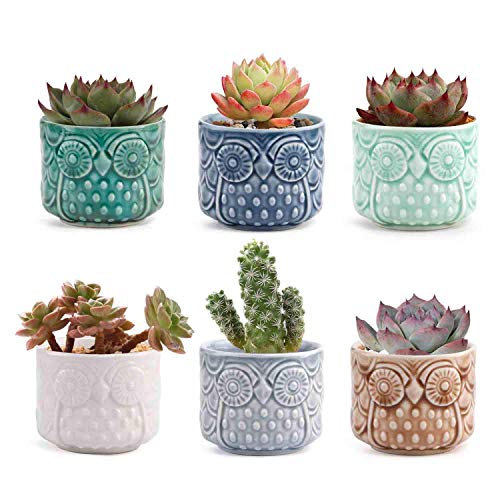 T4U Small Ceramic Succulent Planter Pot, Cute Owl Bonsai Pot for Decor Desktop Windowsill Bookshelf, Perfect Gift on Christmas and Birthday, Pack of 6(Excluding Plants)