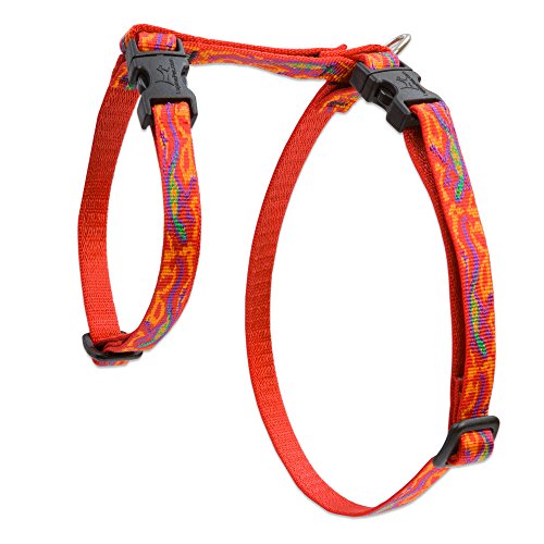 Lupine Pet Originals 1/2" Go Go Gecko 12-20" H-style Harness for Small Pets