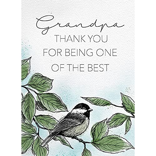 Carson Home 25076 Grandpa Relationship Greeting Card, 6.88-inch Length, Card Stock