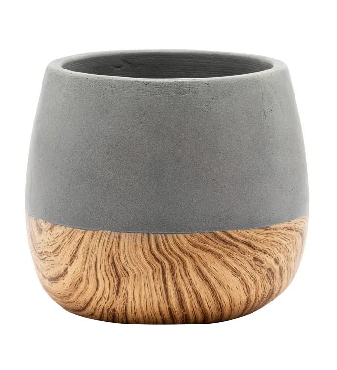 Napco Painted Woodgrain Grey 5.25 x 4.75 Concrete Planter Pot