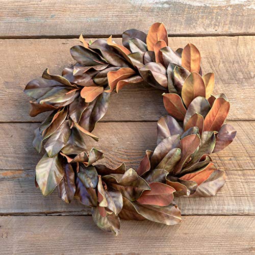 Park Hill Collection FBW90880 Bronzed Magnolia Leaf Wreath, 24-inch Height