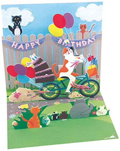 Up With Paper Birthday Greeting Card For Her - Cat and Cake Bike Ride Pop-Up