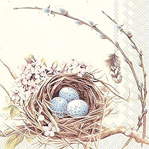 Boston International 20 Count 3-Ply Paper Cocktail Napkins, Birds Nest with Eggs