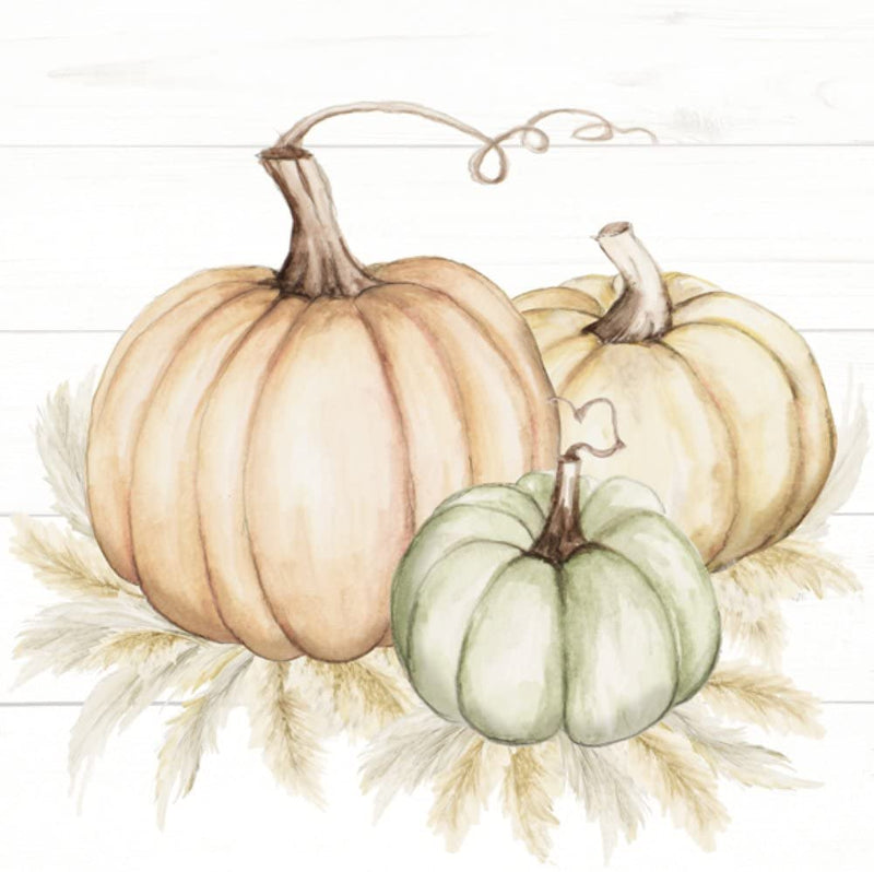 IHR Ideal Home Range Party Disposable 3-Ply Paper Lunch Napkins, 6.5" x 6.5", Pumpkin Trio