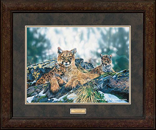 Wild Wings(MN) Quiet Moments - Mountain Lions GNA Premium+ Framed Print by Janene Grende