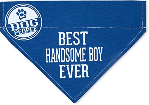 Pavilion Gift Company Blue Small Dog Slip-On Collar Canvas Bandana Best Handsome Boy Ever, 7x5 Inch