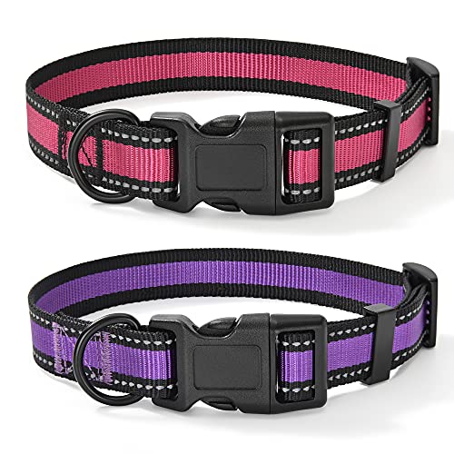 Mile High Life Dog Collar | Reflective 3M Stripe with Nylon Band (Purple/Pink, Large (Pack of 2))