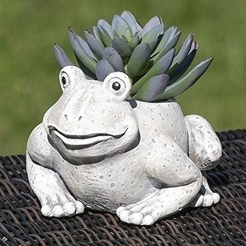 Roman 12516 Mini Frog Pudgy Planter, 4-inch Height, Resin and Stone Mix