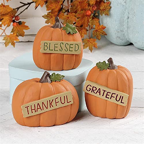 Blossom Bucket 206-12908 Thankful Grateful and Blessed Pumpkins Figurine, Set of 3