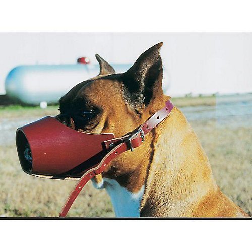 OmniPet Leather Brothers Size 5 Leather Dog Muzzle, Burgundy