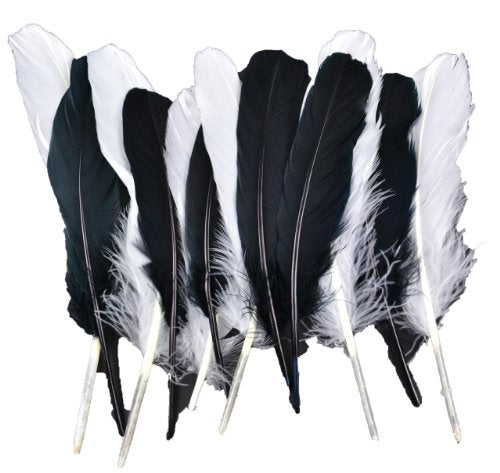Midwest Design Touch of Nature 12-Piece Goose Wing Rounds for Crafting, 7 to 8-Inch, White/Black Mix