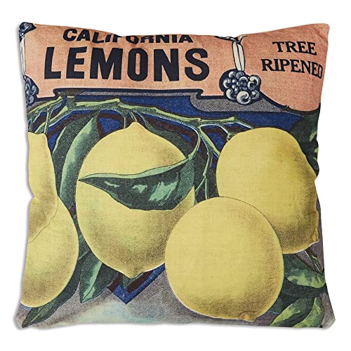 CTW 780327 California Lemons Throw Pillow, 18-inch Square