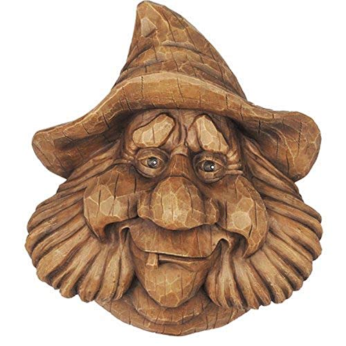 Red Carpet Studios Birdie in the Woods Bird House, Billy Face