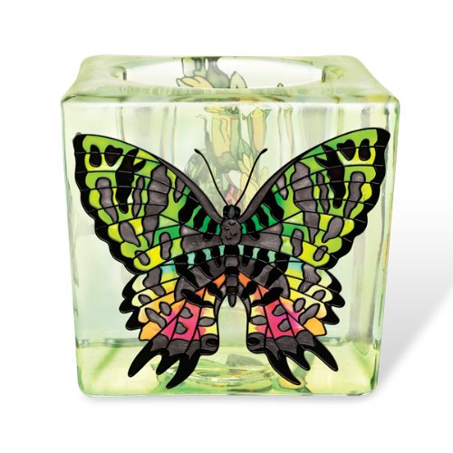 Amia Madagascar Sunset Butterfly Votive 3-Inch Hand Painted Glass