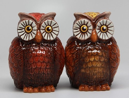 Pacific Trading ATTRACTIVES Salt and Pepper Shaker - Owls