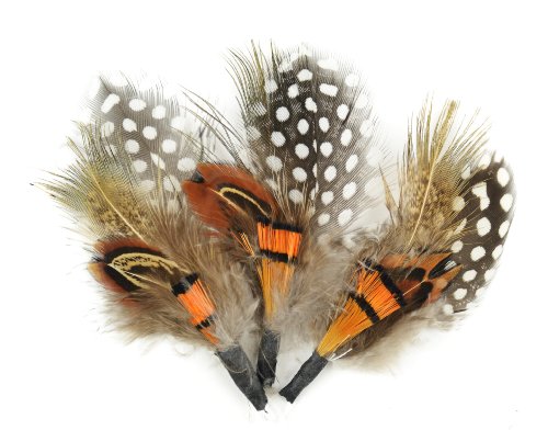 Midwest Design Touch of Nature 38108 3-Piece Natural Feather Pick with Nylon Loop for Arts and Crafts, 3.5-Inch, Guinea/Orange