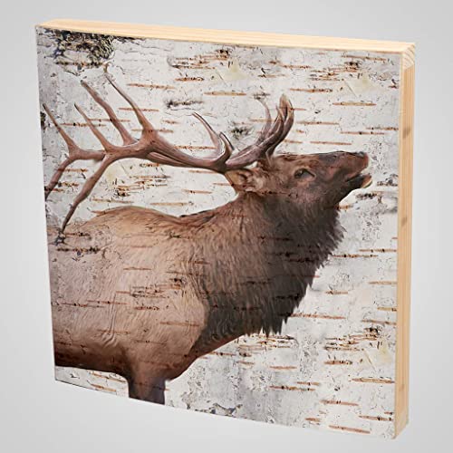 Lipco Wood Elk Bark-Look Plaque, 12-inch Square, Home Decoration