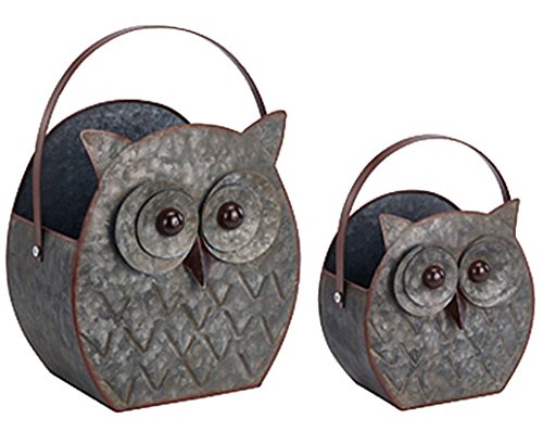 Napco Imports, Inc Owl Galvanized Metal Planters with Swing Handle, Set of 2, 15 and 11 Inches