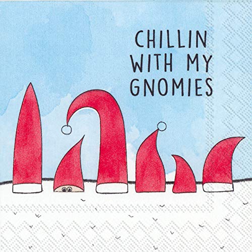 Boston International IHR 3-Ply Cocktail Beverage Paper Napkins, 5 x 5-Inches, Chillin With My Gnomies