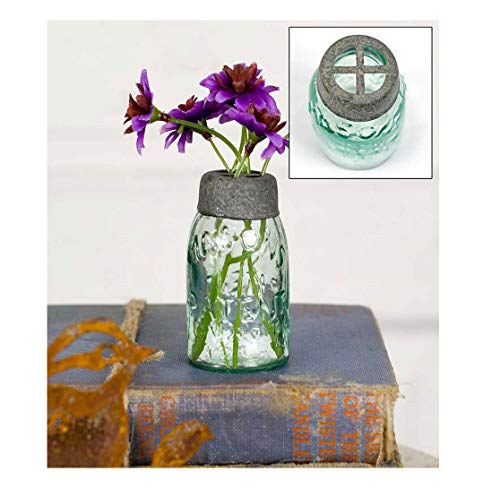 CTW Home Collection Mini Mason Jar with Flower Frog