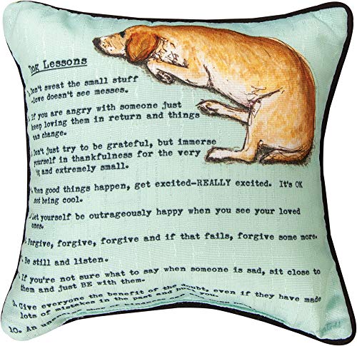 Manual Woodworkers SDDOGL Dog Lesson ELT Dye Word Throw Pillow, 12 inch