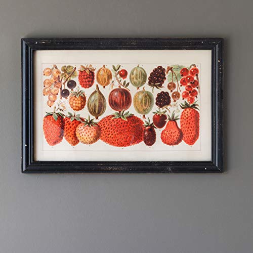 Park Hill Collection EWA01095 Berry Botanical Study Framed, 31.5-inches Length, Print